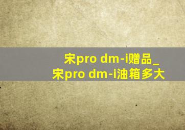 宋pro dm-i赠品_宋pro dm-i油箱多大